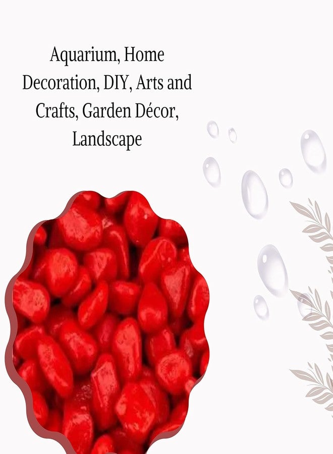 TRADESK Anky Polished Decorative Pebbles,for Plants, Garden, Landscaping and Aquariums 1Kg (Red) - Image 3